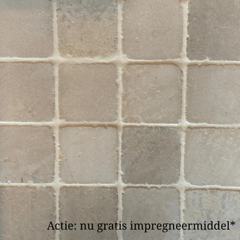 Bourgondische dallen crème getrommeld 20 x 20 cm