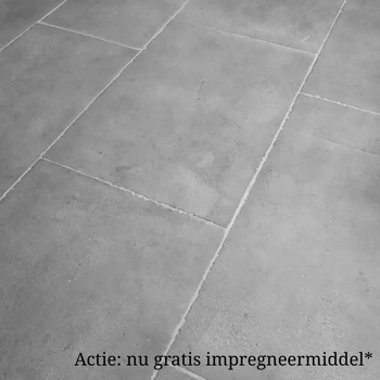 Kalksteen Dallen "Calcaire Gris" geborsteld