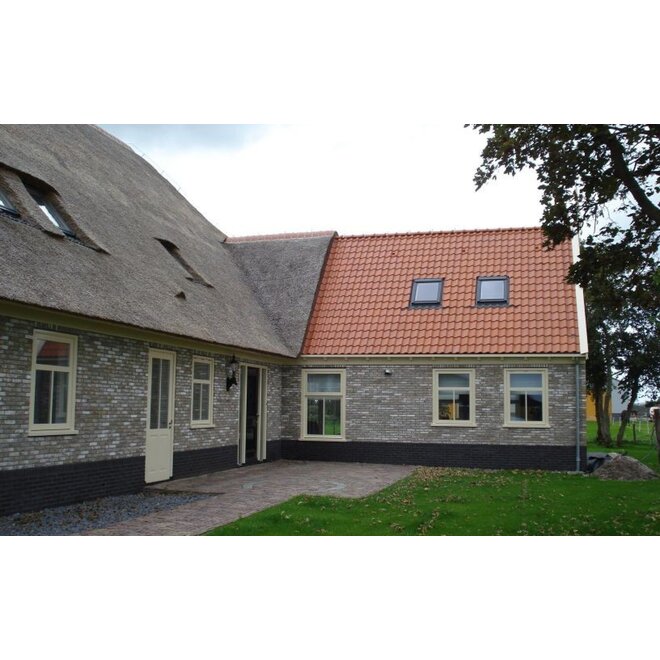 Wienerberger Dakpan Wienerberger Oude Holle natuurrood perstuk
