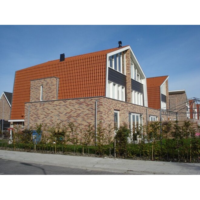 Wienerberger Keramische dakpan Wienerberger OVH Vario natuurrood per stuk