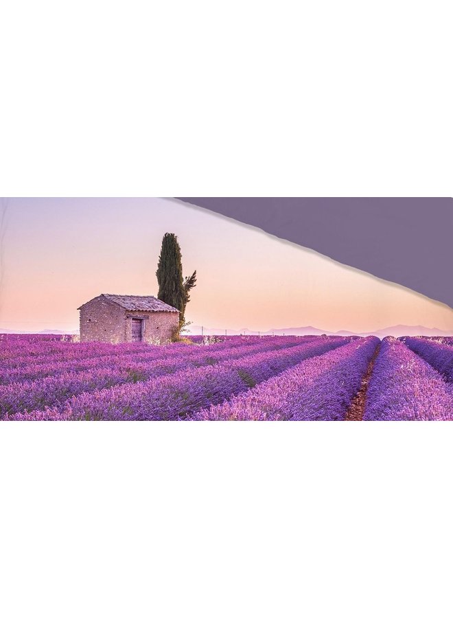 Pure Dekbedovertrek Lavender Paars - Microvezel