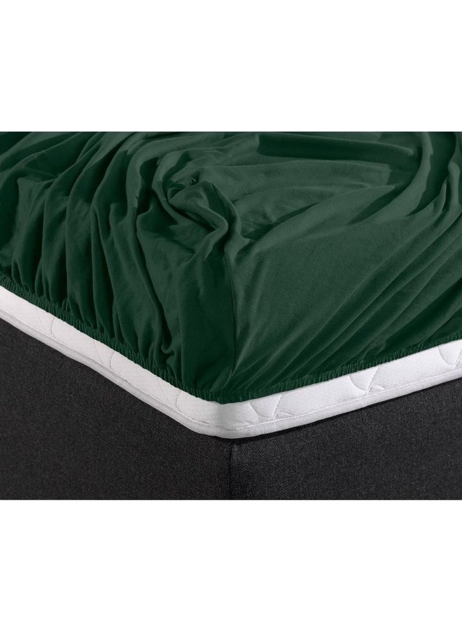 Dreamhouse Hoeslaken Botanisch Groen - Dubbel Jersey