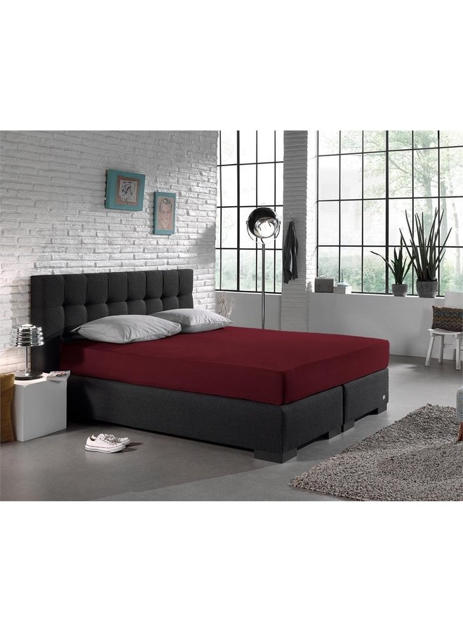 Dreamhouse Hoeslaken Bordo - Jersey