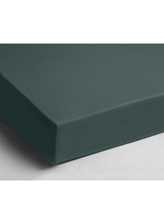 Papillon Hoeslaken Groen - Dubbel Jersey