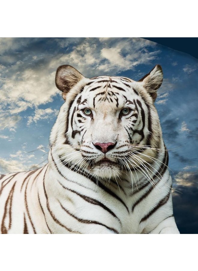 Pure Dekbedovertrek Bobby Multi - Microvezel