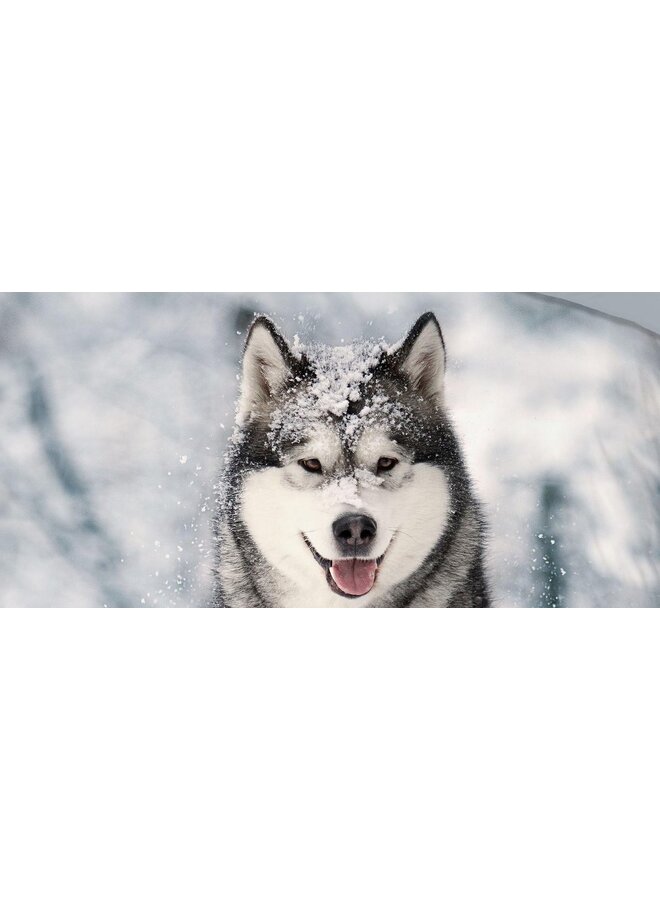 Good Morning Dekbedovertrek Husky Grijs - Flanel