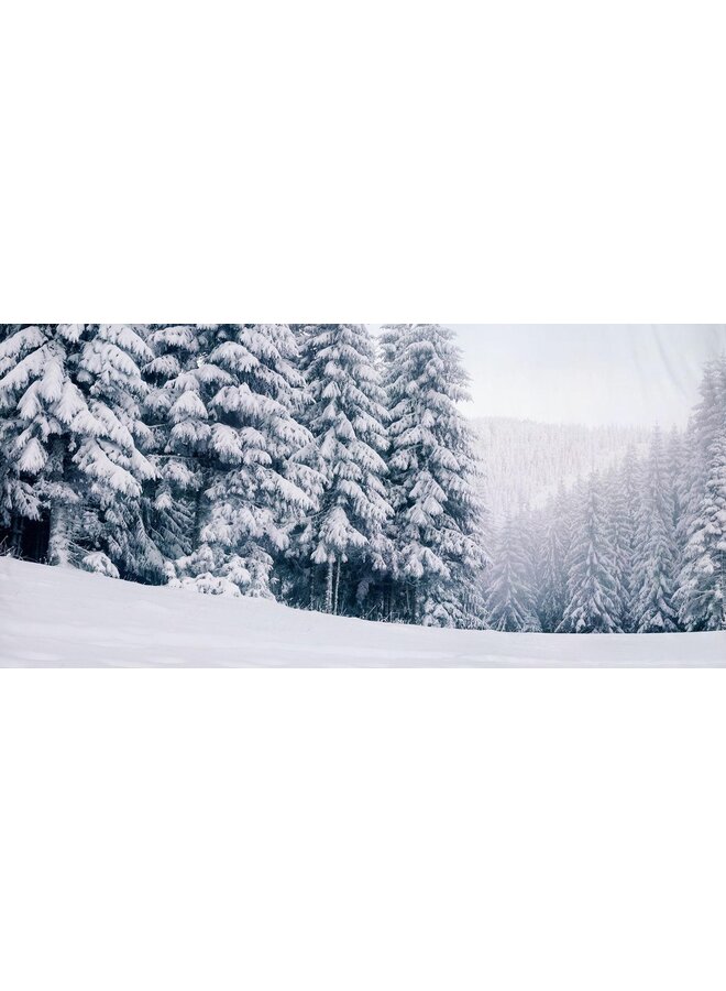 Pure Dekbedovertrek Winter View Blauw