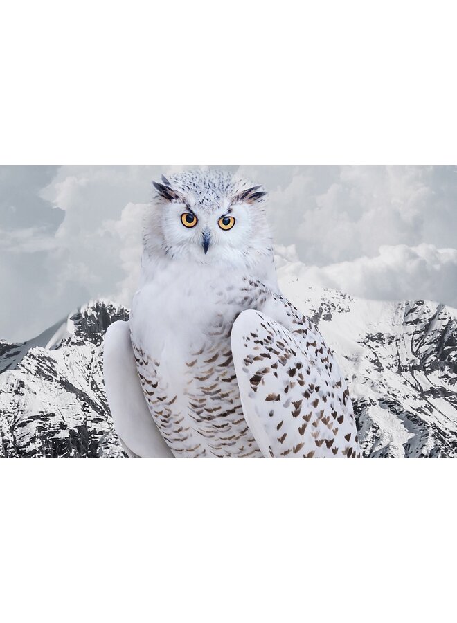 Good Morning Dekbedovertrek Jacob Grijs - Katoen