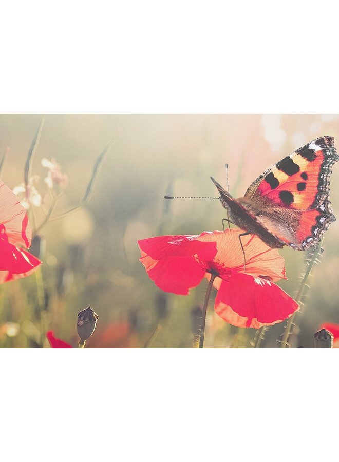 Good Morning Dekbedovertrek Poppies Multi - Katoen