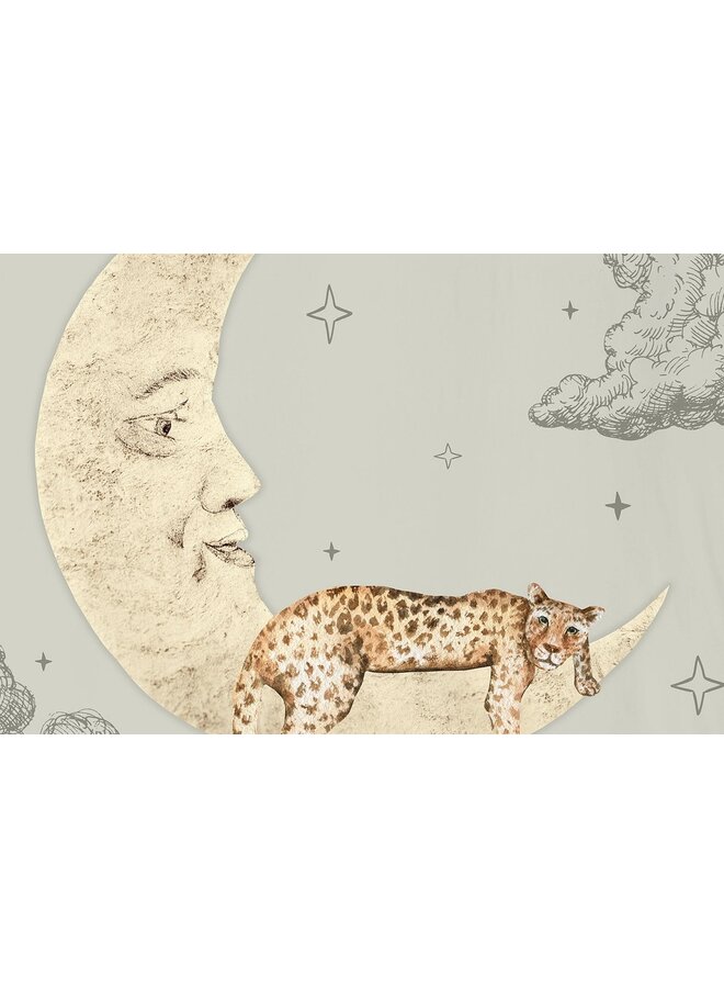 Good Morning Dekbedovertrek Boaz Multi - Katoen