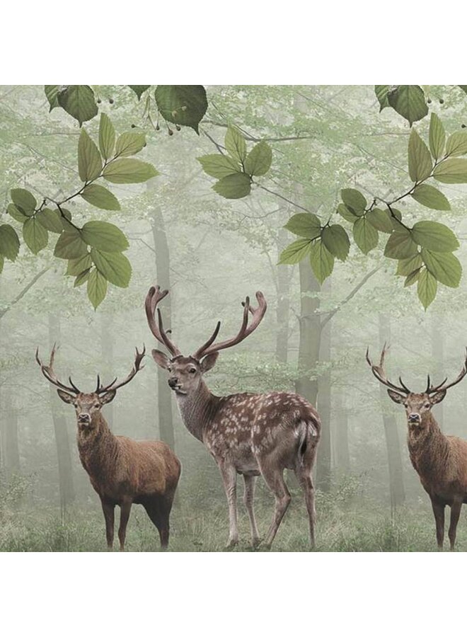 Heckett & Lane Dekbedovertrek Tobias Groen - Flanel