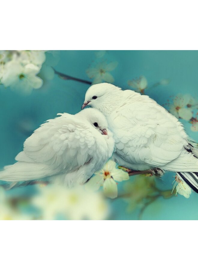 Good Morning Dekbedovertrek Loving Aqua - Katoen