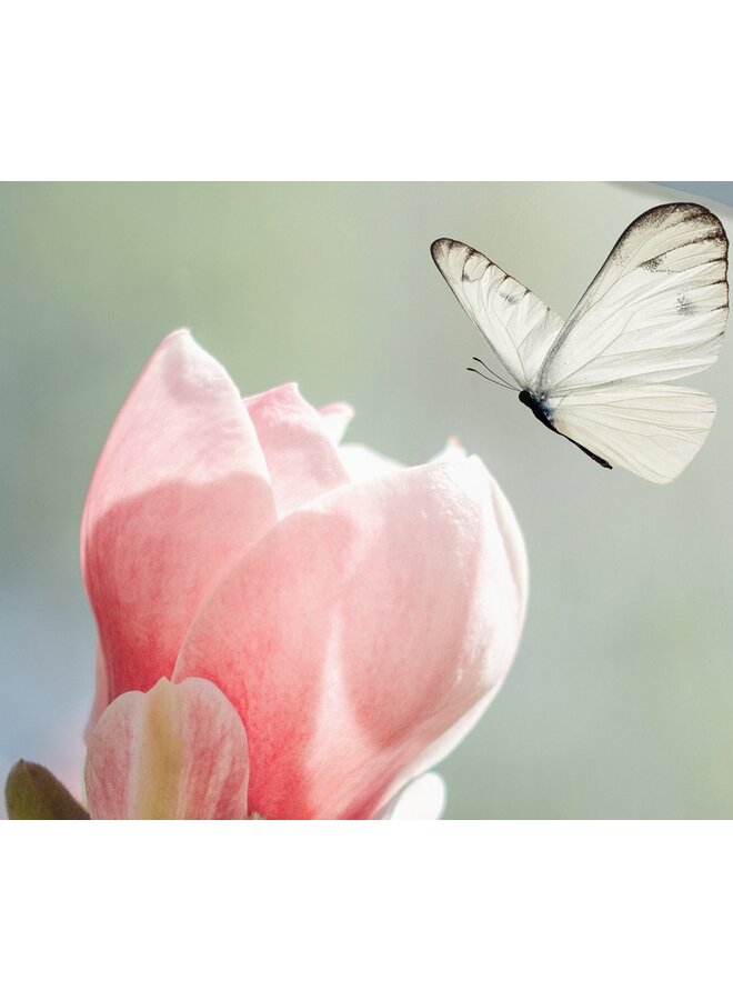 Good Morning Dekbedovertrek Close Multi - Katoen