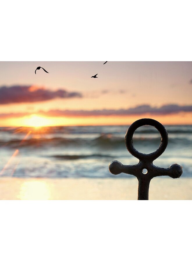 Good Morning Dekbedovertrek Mar Multi - Katoen