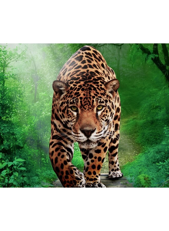 Pure Dekbedovertrek Amazone Multi - Microvezel