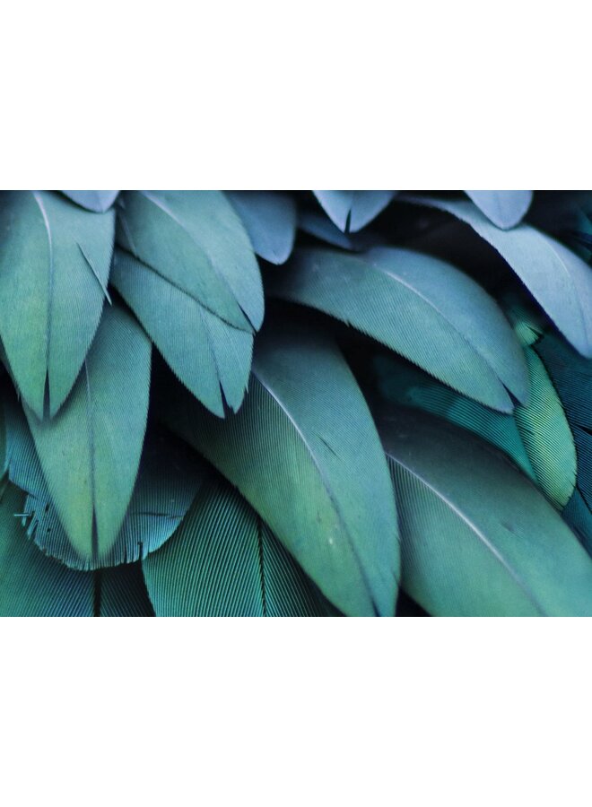 Pure Dekbedovertrek Heather Petrol - Microvezel