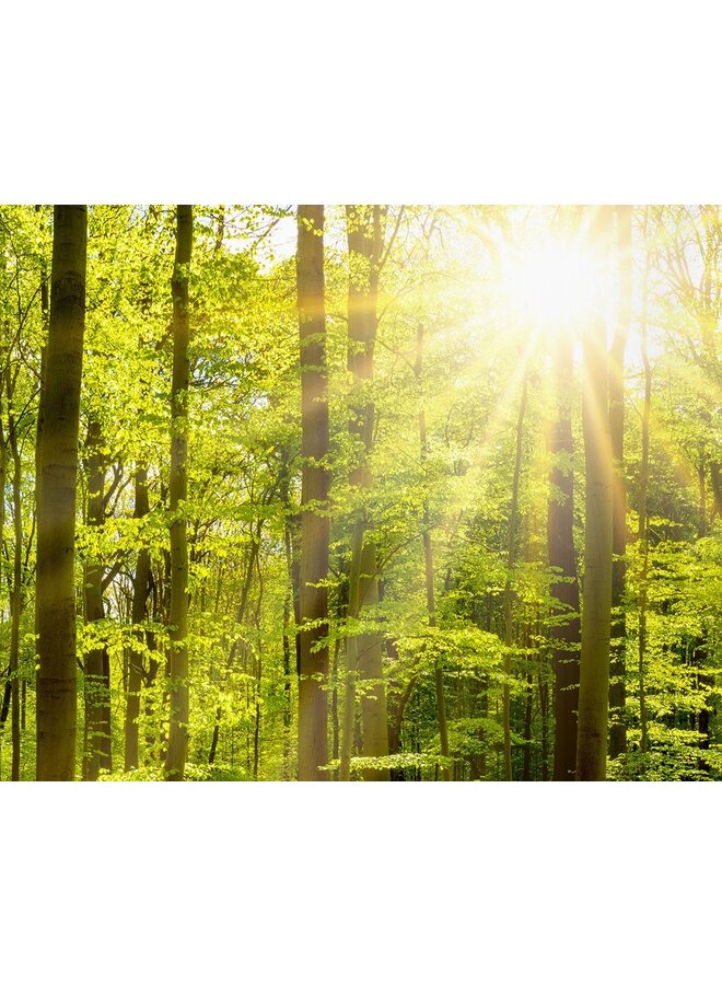 Pure Dekbedovertrek Woods Groen - Microvezel