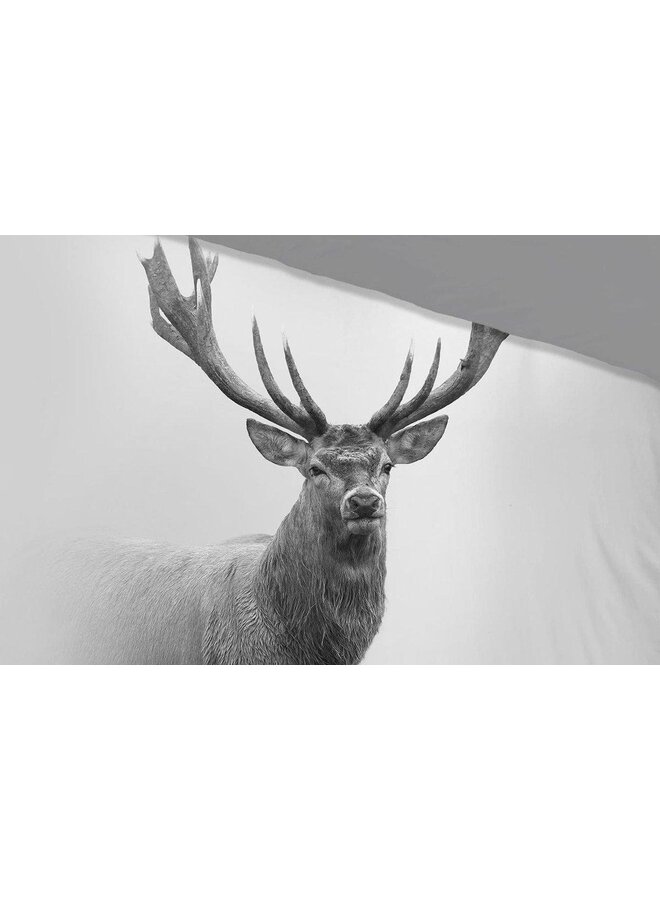 Pure Dekbedovertrek Grey Deer Grijs - Microvezel