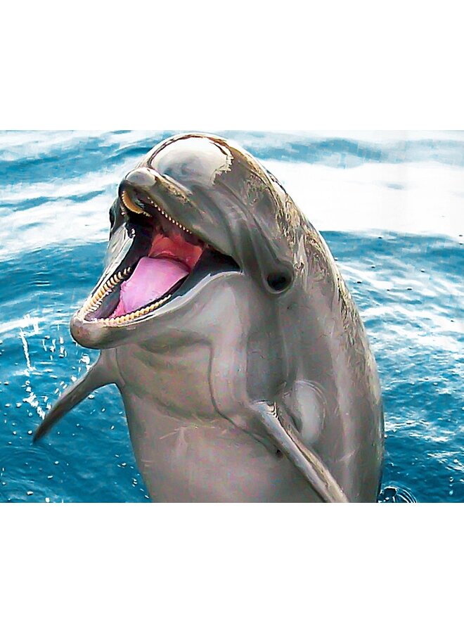 Good Morning Dekbedovertrek Kids Jump Blauw - Katoen