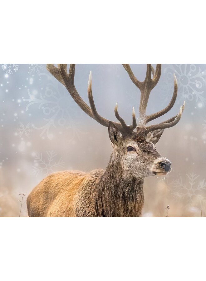 Good Morning Dekbedovertrek Jolly Multi - Flanel