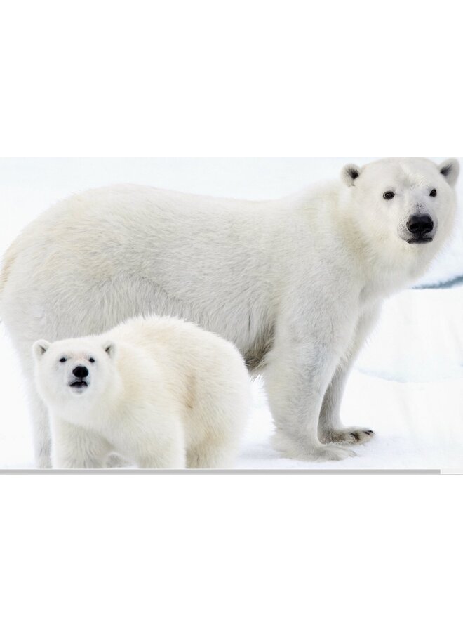 Good Morning Dekbedovertrek Care Blauw - Flanel