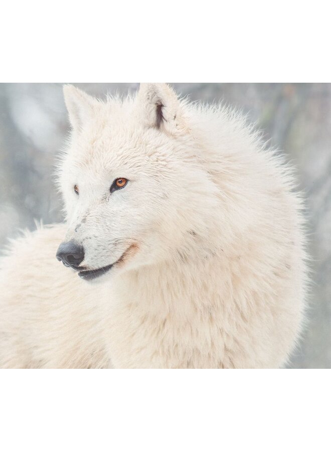 Good Morning Dekbedovertrek Julian Grijs - Flanel