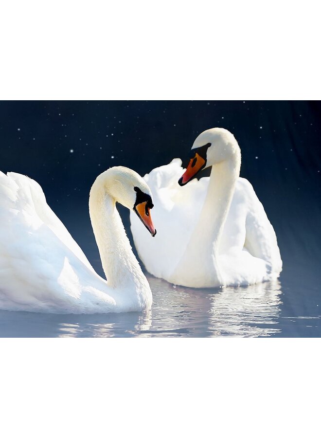 Pure Dekbedovertrek Share Blauw - Microvezel