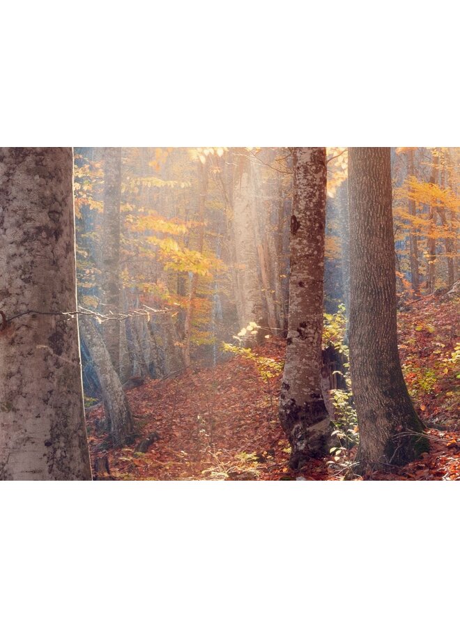 Pure Dekbedovertrek Autumn Multi - Microvezel