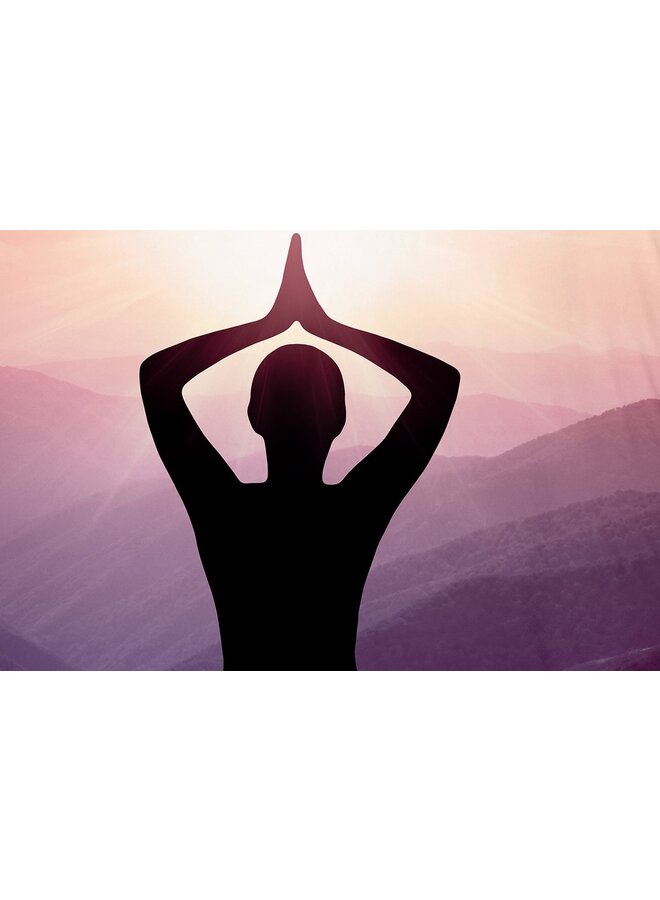 Pure Dekbedovertrek Yoga Paars - Microvezel