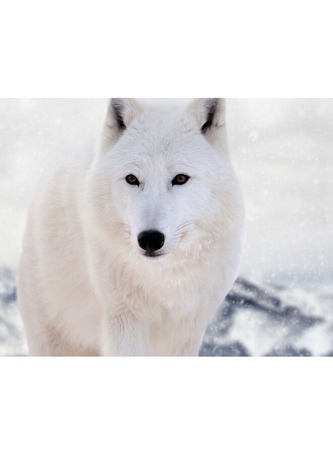 Pure Dekbedovertrek White Fox Grijs - Microvezel