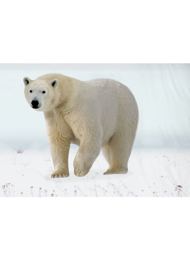 Pure Dekbedovertrek Bjorn Multi - Microvezel