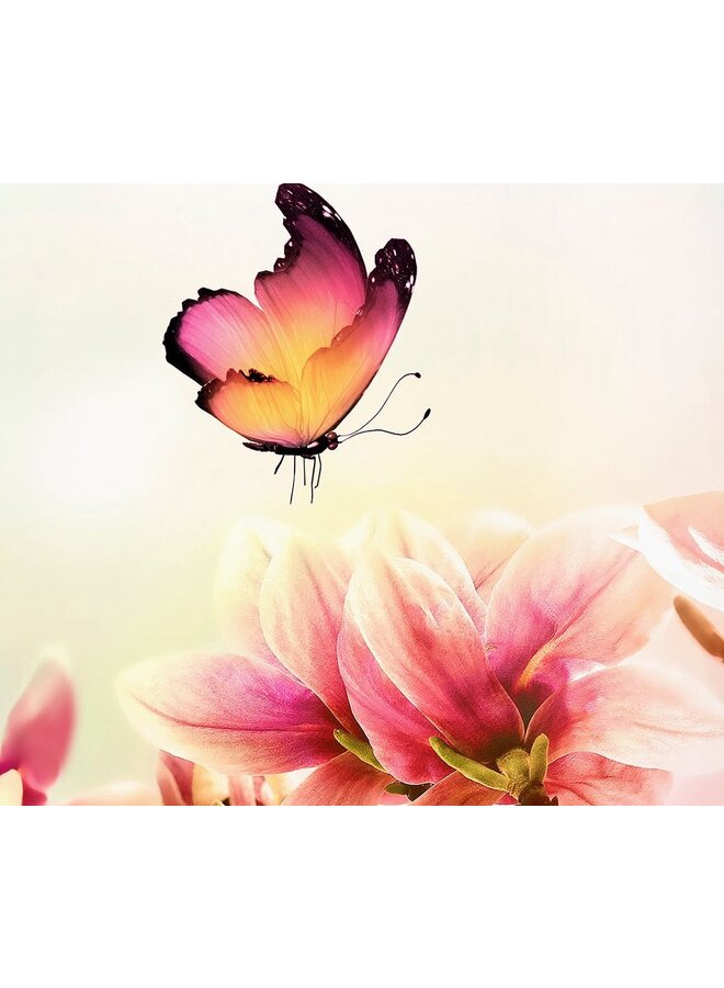 Pure Dekbedovertrek Yuni Multi - Microvezel