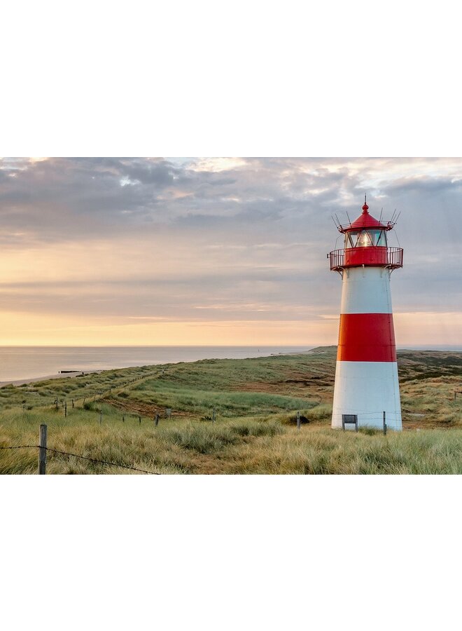 Good Morning Dekbedovertrek Philip Multi - Katoen