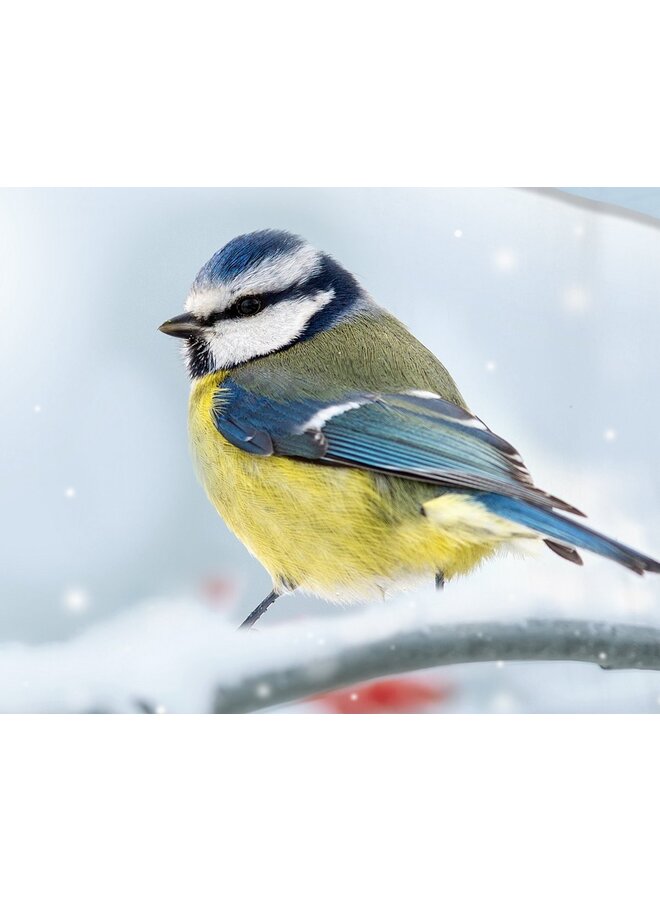 Good Morning Dekbedovertrek Crisp Multi - Katoen