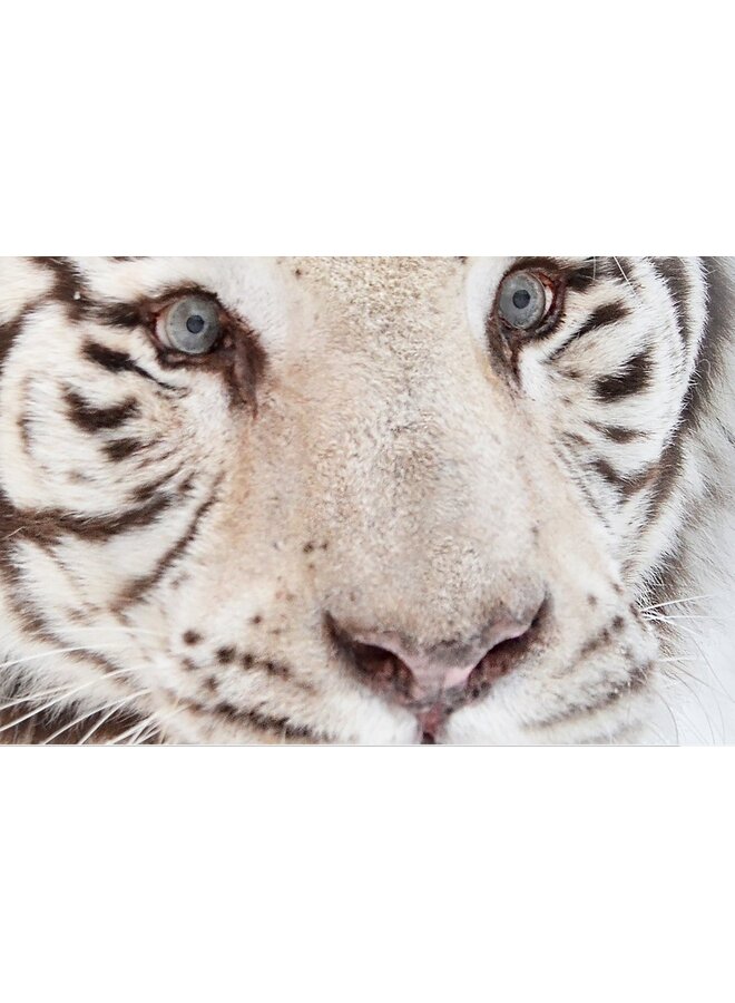 Good Morning Flanel Dekbedovertrek Creme