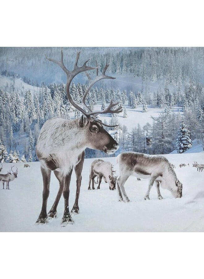 Heckett & Lane Dekbedovertrek Doriane Wit - Katoensatijn