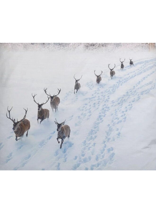 Heckett & Lane Dekbedovertrek Doriane Wit - Katoensatijn