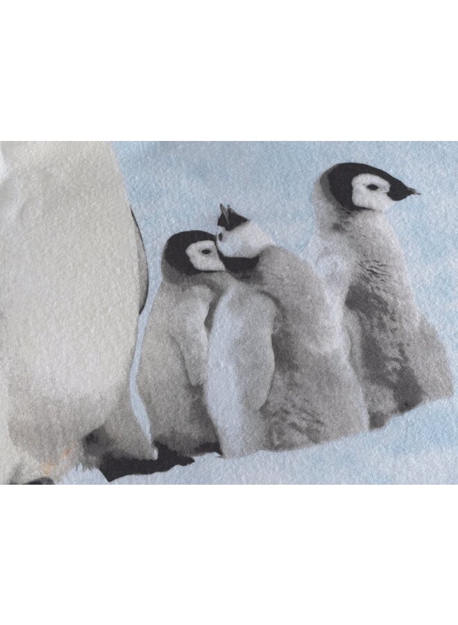 ZO! Home Dekbedovertrek Pingu Wit - Flanel