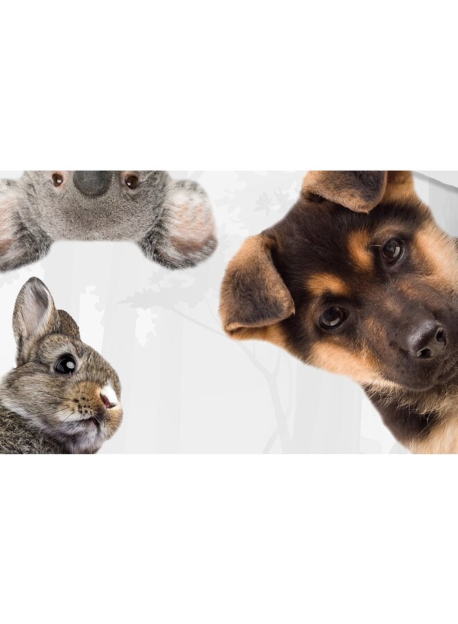 Good Morning Dekbedovertrek Kids Semmie Multi - Katoen