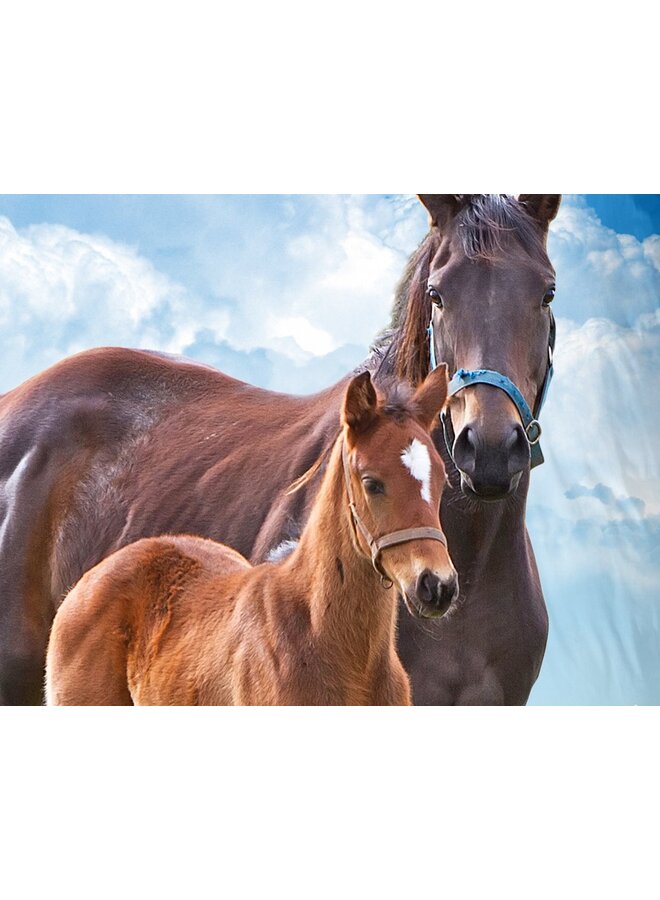 Good Morning Dekbedovertrek Kids Dora Multi - Katoen