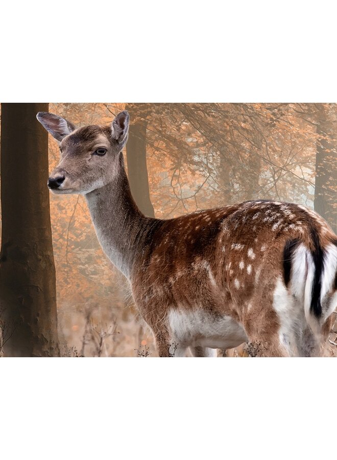 Good Morning Dekbedovertrek Gavin Bruin - Katoen