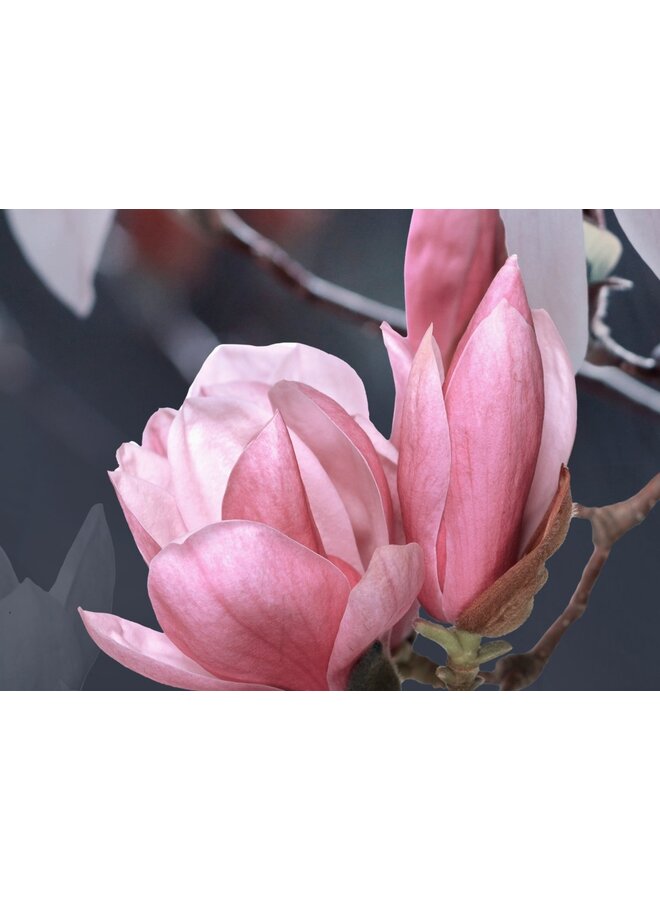 Pure Dekbedovertrek Macy Antraciet - Microvezel