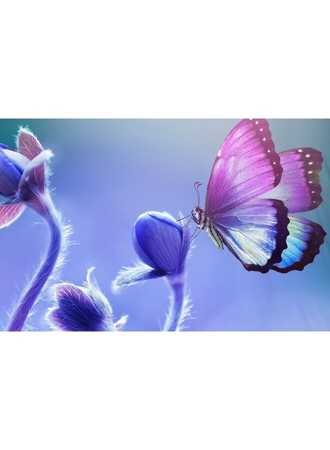 Pure Dekbedovertrek Davine Multi - Microvezel