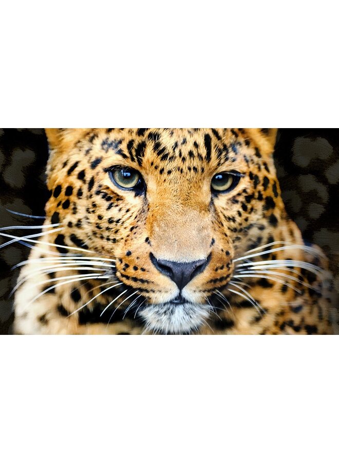 Pure Dekbedovertrek Rayan Zwart - Microvezel