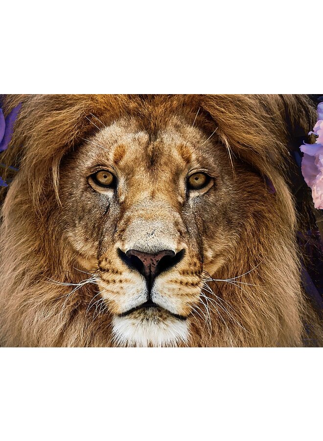 Pure Dekbedovertrek Yuna Multi - Microvezel