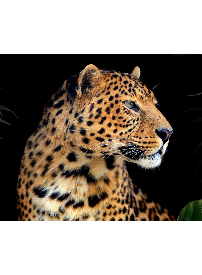 Pure Dekbedovertrek Mala Zwart - Microvezel