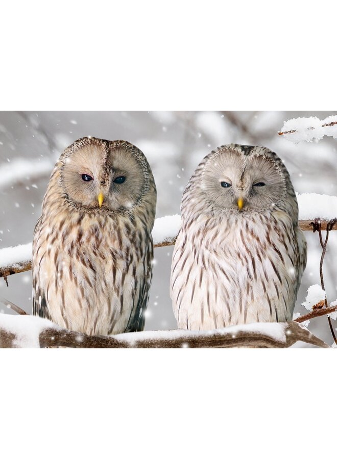 Good Morning Dekbedovertrek Febe Grijs - Flanel