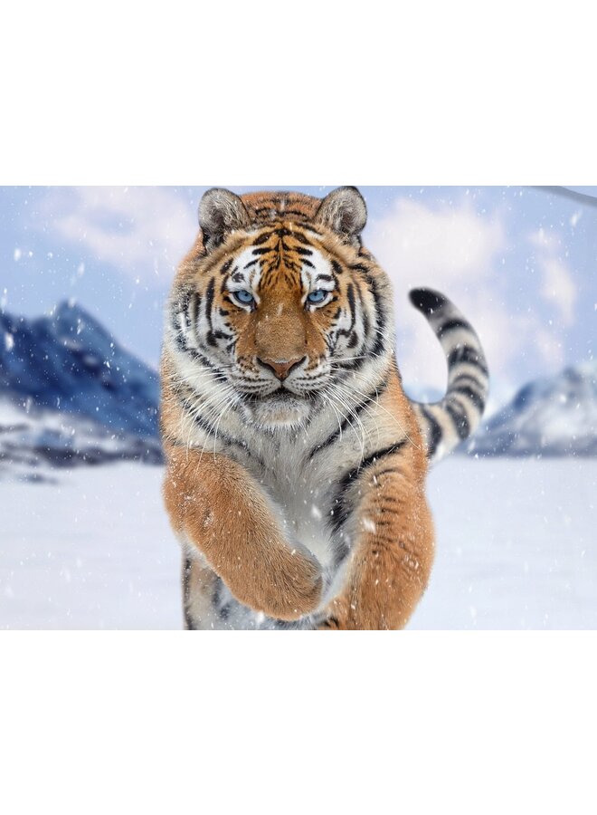 Good Morning Flanel Dekbedovertrek Blauw