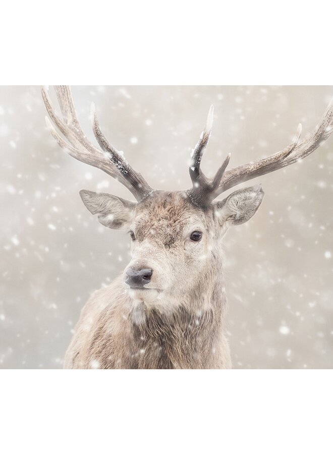 Good Morning Dekbedovertrek Snowydeer Zand - Flanel