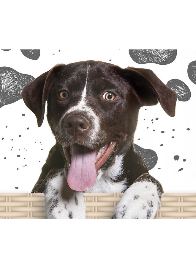 Pure Dekbedovertrek Kids Yuan Multi - Microvezel